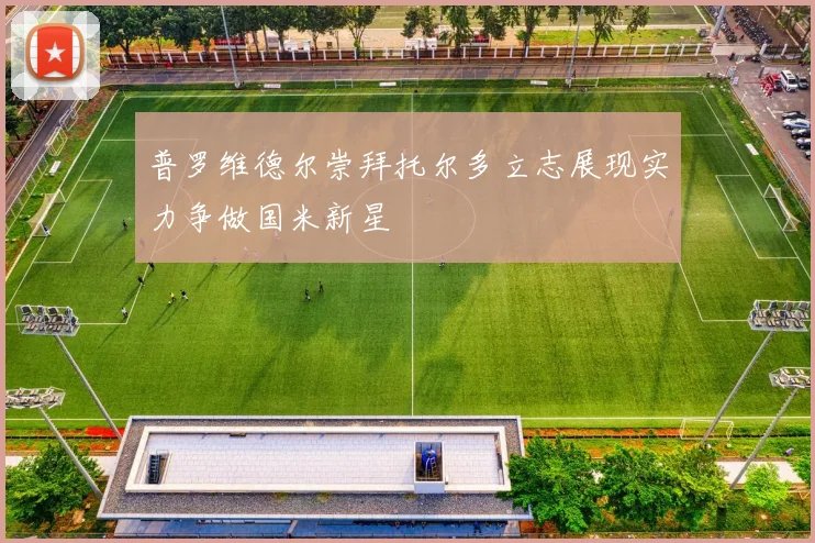 普罗维德尔崇拜托尔多立志展现实力争做国米新星